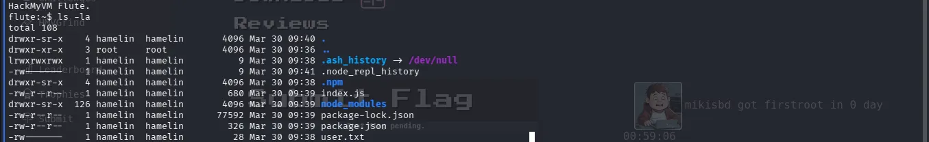 Flag user Flute